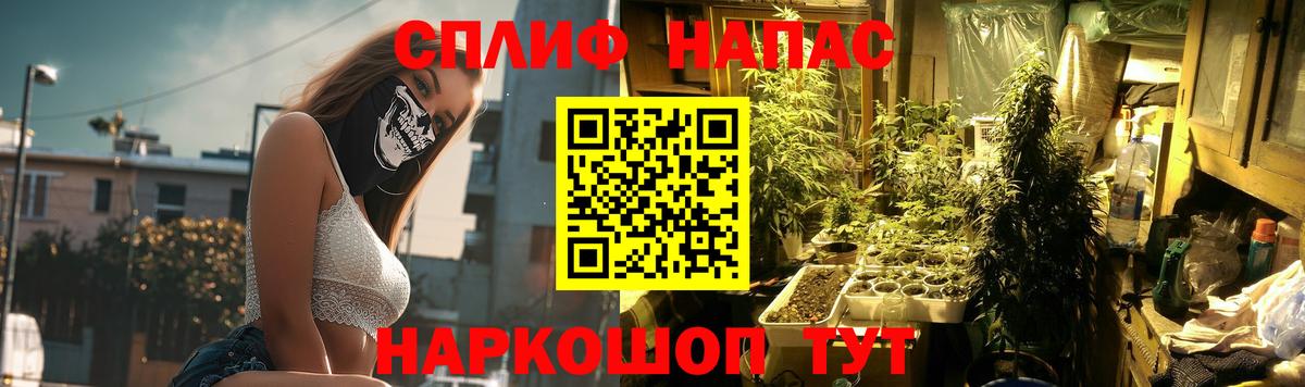 Шишки марихуана планчик Ступино